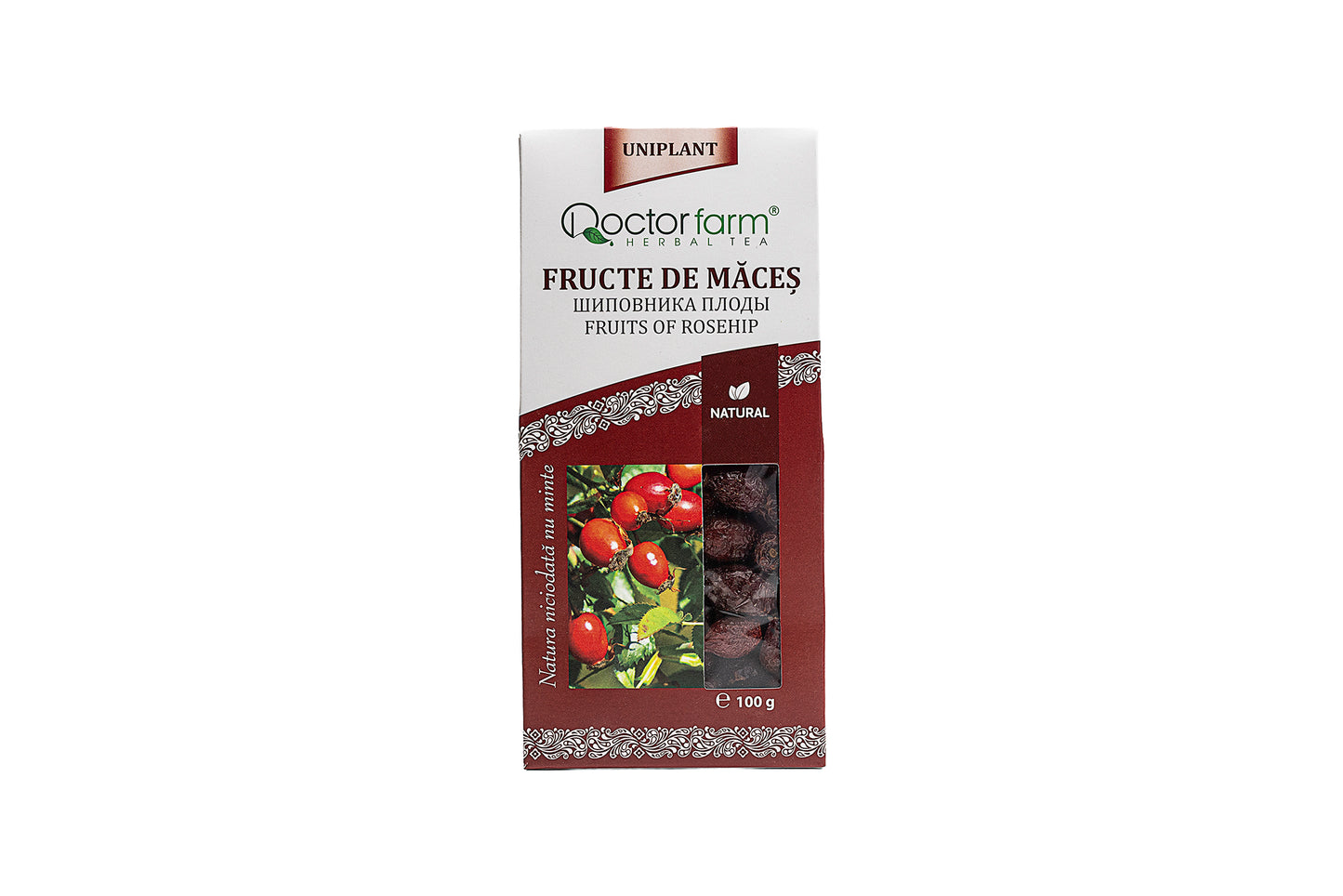 Fruits of Rosehip