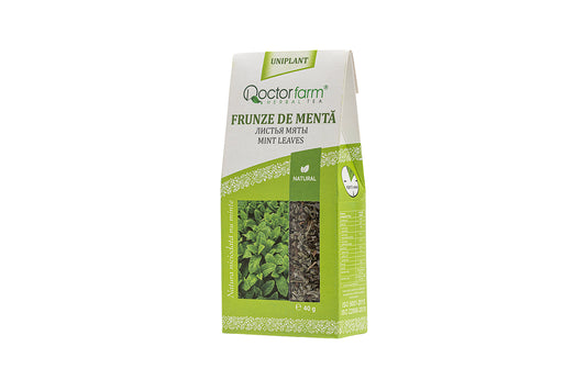 Mint Leaves