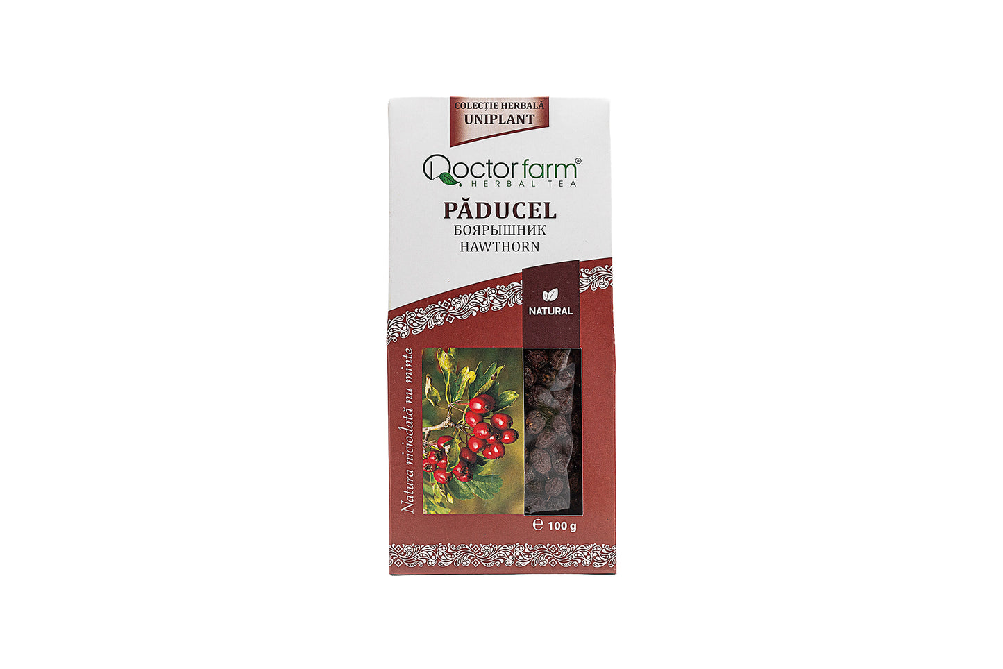 Hawthorn Berry